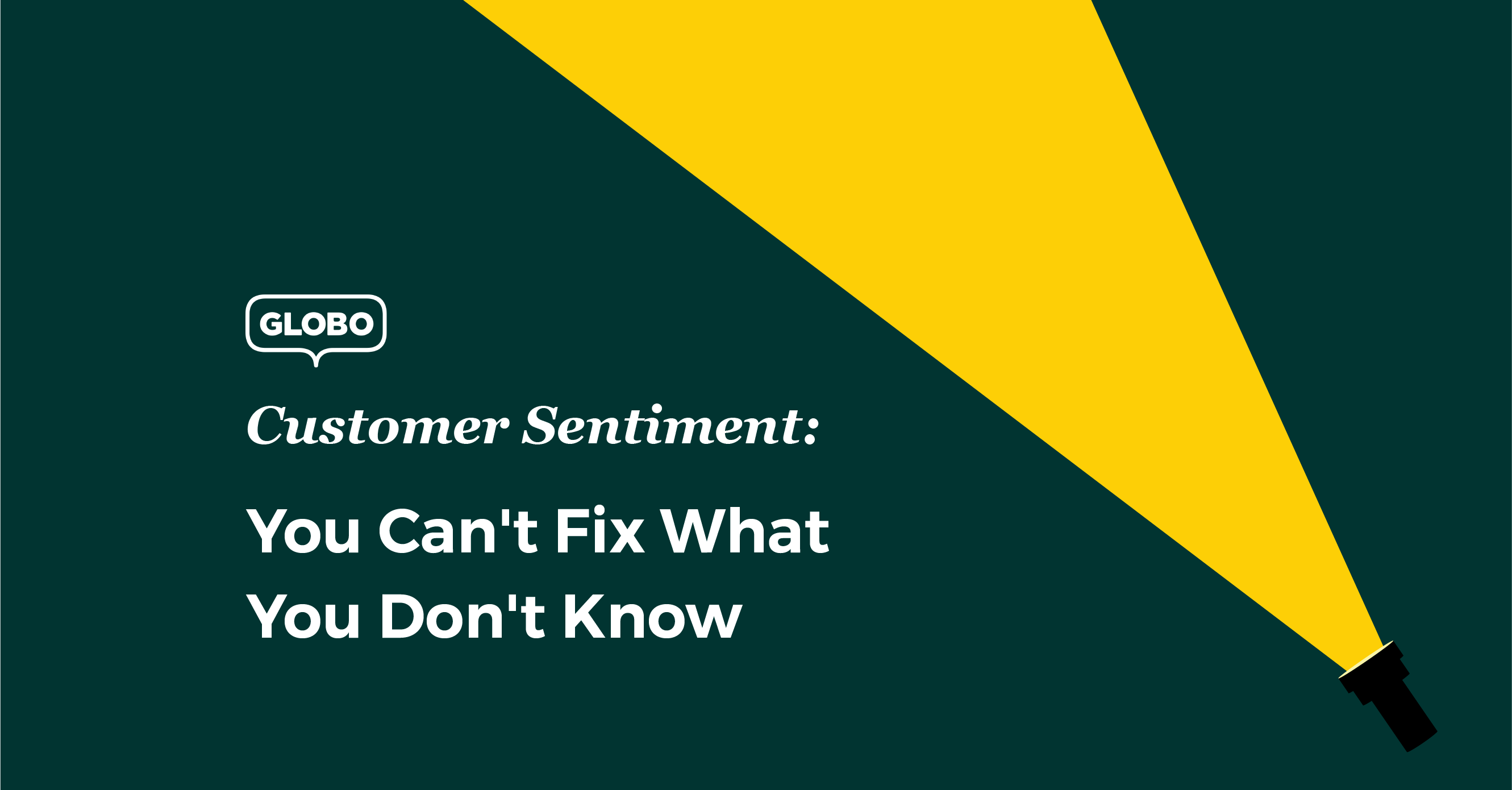 Customer Sentiment Language Support