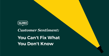 Graphic with text: Customer Sentiment: You Can't Fix What You Don't Know.