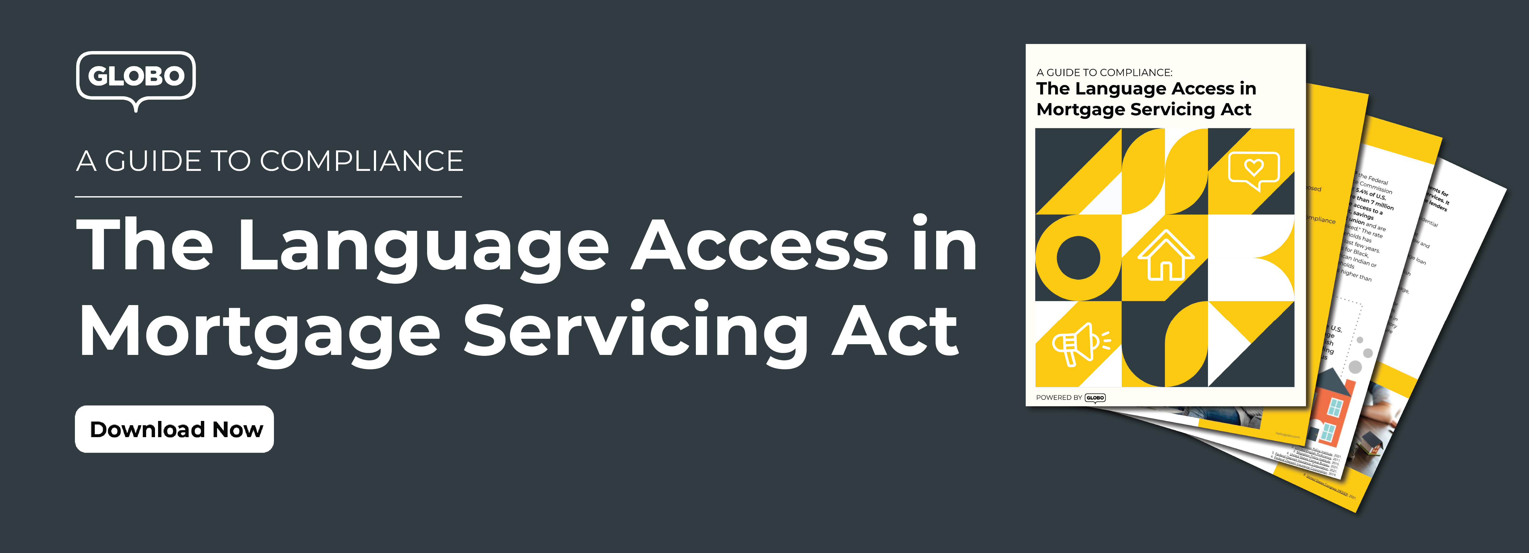 Language Access in Mortgage Servicing Guide